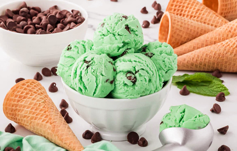 Mint Choco Chip Gelato